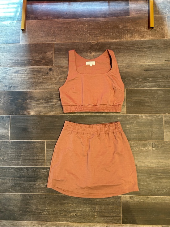 Wishlist Other - Wishlist Rust Two-Piece Crop Top and Mini Skirt Set